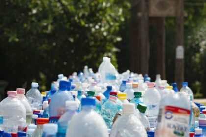 support plastic-free travel and sustainable tourism
