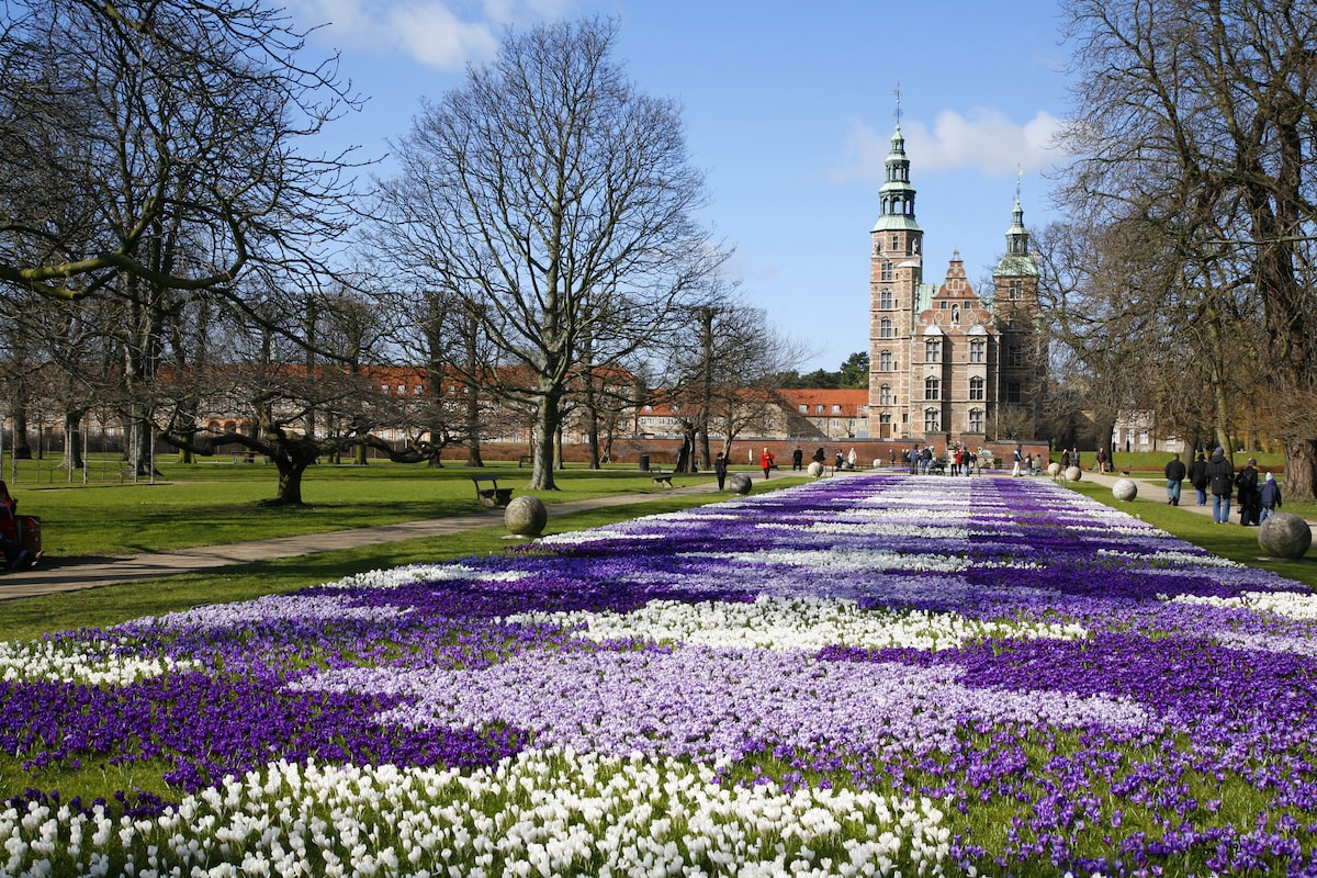 Rosenborg Castle Gardens in Copenhagen, Denmark, featuring a vibrant display of purple, white, and lavender flowers leading up to the historic 17th-century Rosenborg Castle, with visitors strolling through the scenic park.