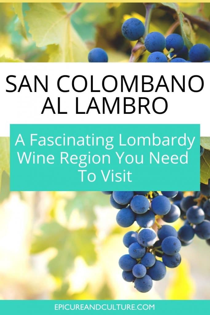 Lombardy wine region of San Colombano al Lambro