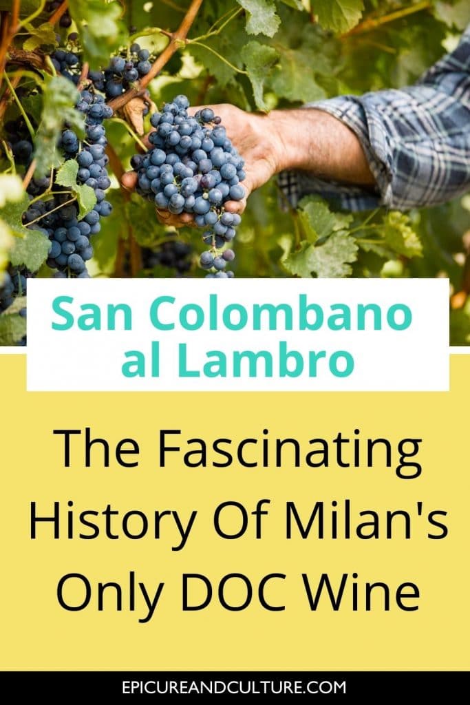 Wine region in Italy