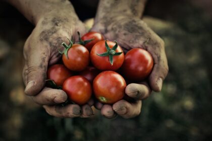 global food crisis