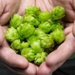 brewing
