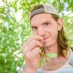 foraging in central park