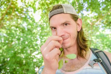 foraging in central park