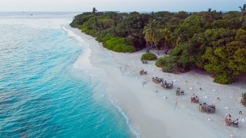 conservation safaris, Soneva Fushi