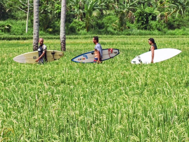three people walking in tall grass while carrying surf boards