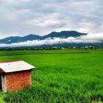 taiwan