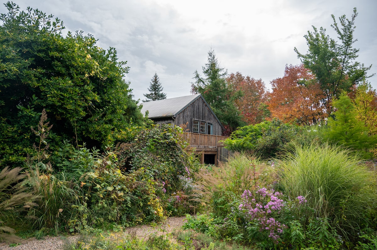 Tangled Garden in Grand Pré, Nova Scotia, with lush greenery, blooming flowers, and a rustic wooden building nestled among the foliage."