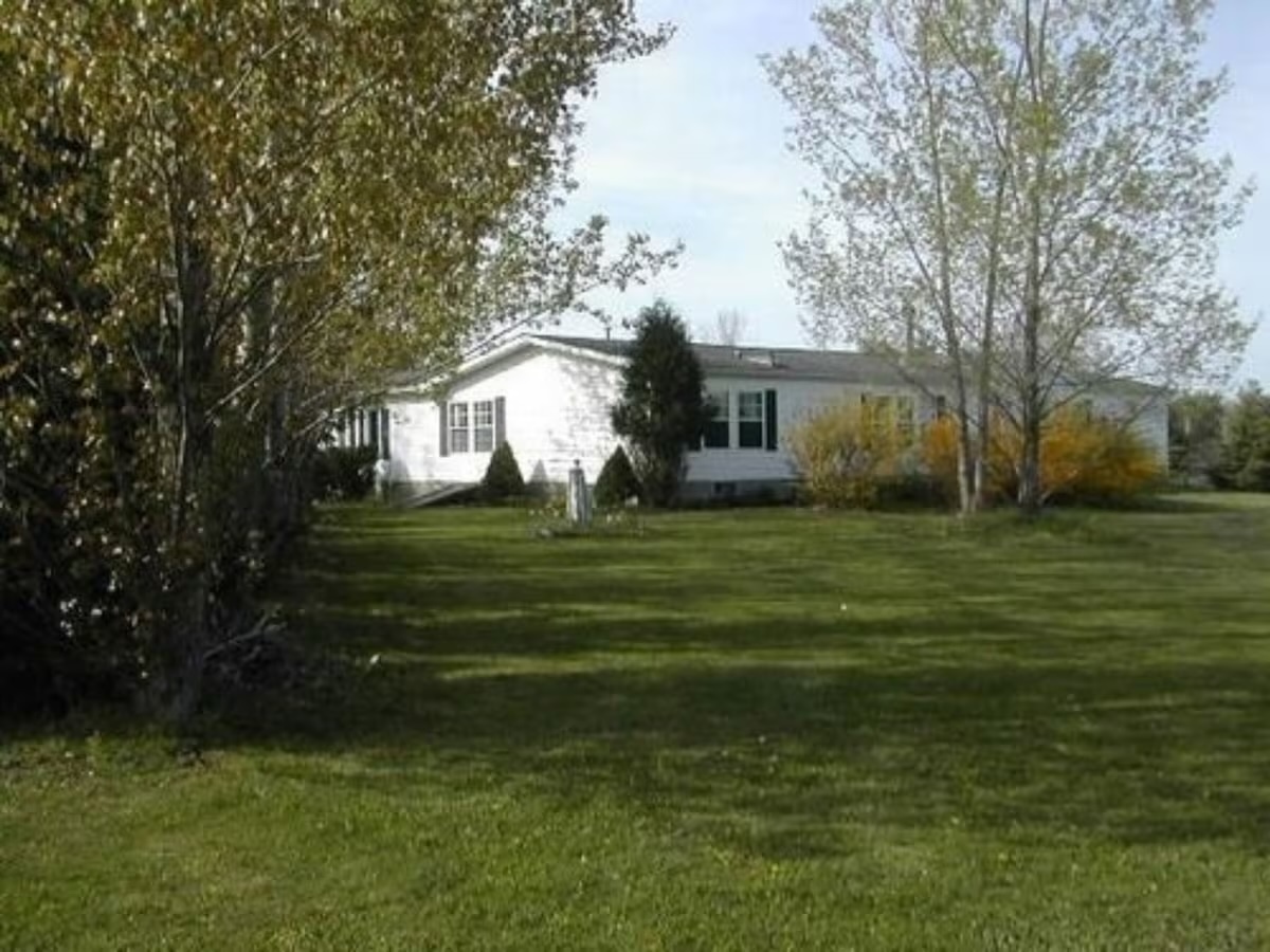 Exterior of The Ginger Cat vegan bed and breakfast in Rock Stream, New York, surrounded by trees and a large grassy lawn.