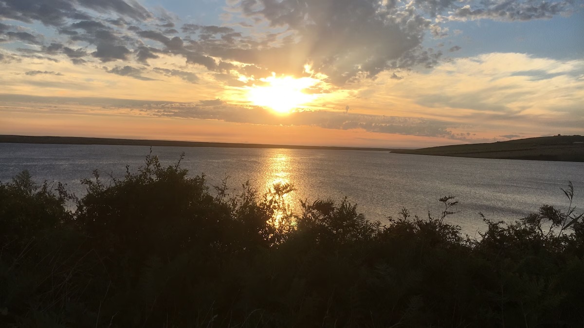 A stunning sunset casting golden reflections over a tranquil lake, framed by silhouetted foliage. The view is seen from the Tidmoor Farm Vegetarian B&B in Weymouth, UK.