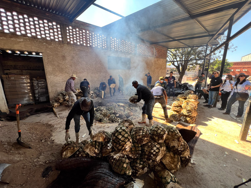 Traditional pit oven for cooking agaves to make tequila