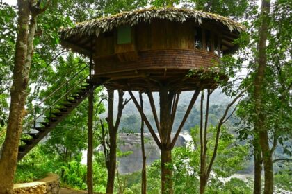 Rainforest Boutique Hotel