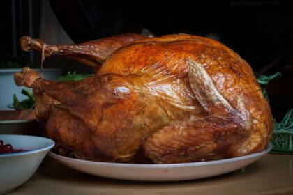 thanksgiving turkey