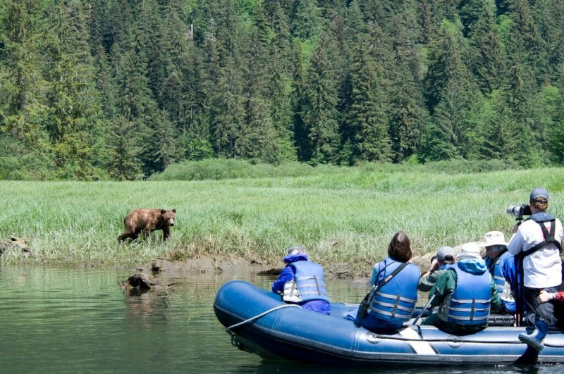 travelers on a raft spotting wild bears on an ethical wildlife vacation
