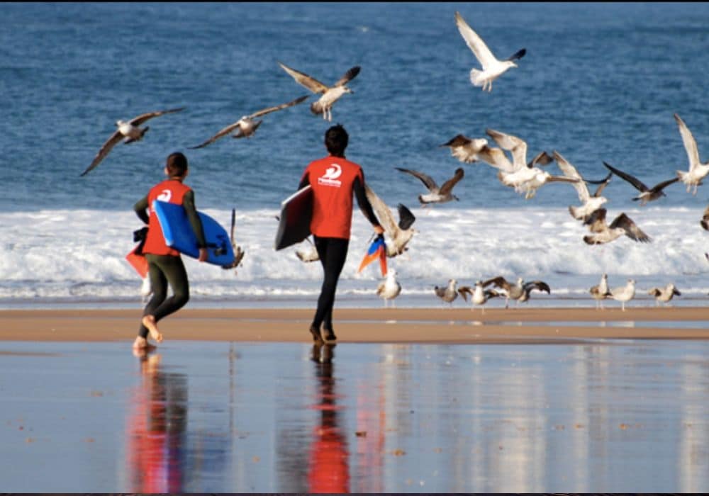 two men surfing in Ericeira, Portugal