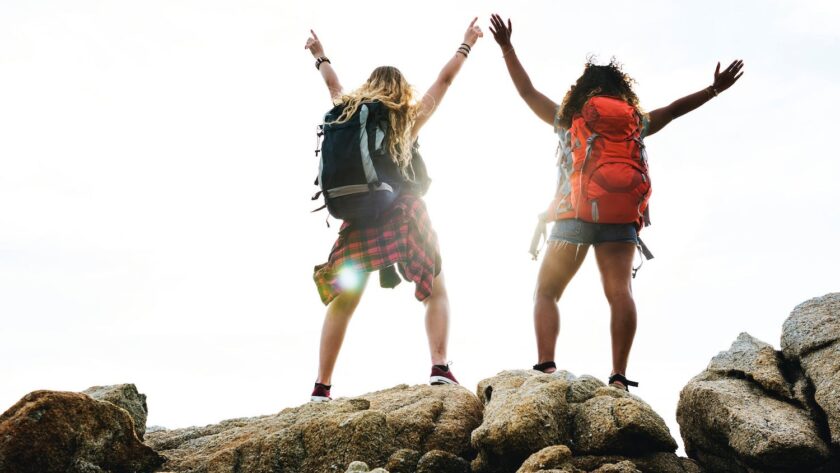 vegan backpacks