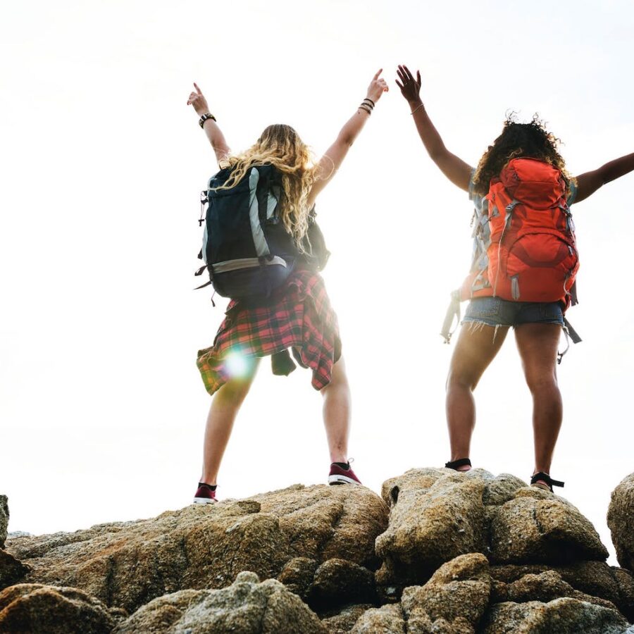 vegan backpacks