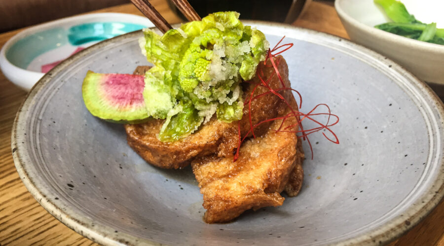 Vegan Meal in Tokyo