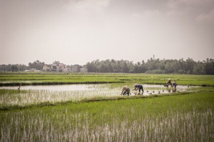 stories of vietnamese refugees