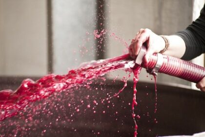 wine