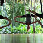 yoga fusion