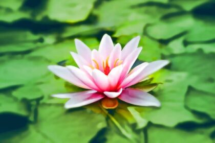 giving back through yoga
