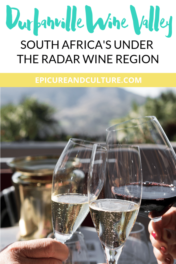 Durbanville Wine Valley: South Africa's Under the Radar Wine Region