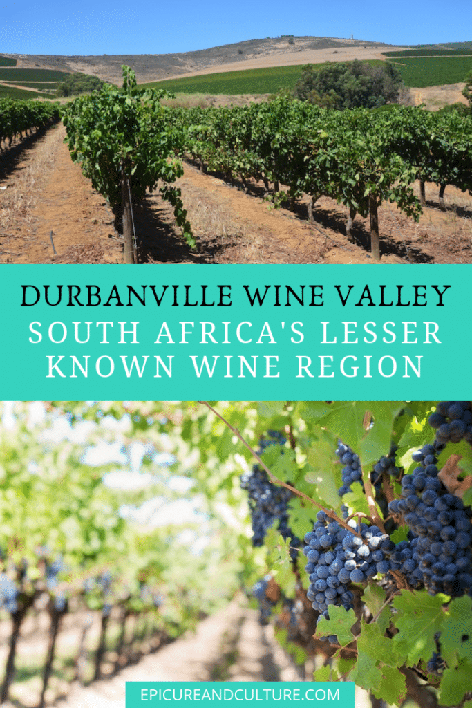 Durbanville Wine Valley: South Africa's Lesser Known Wine Region