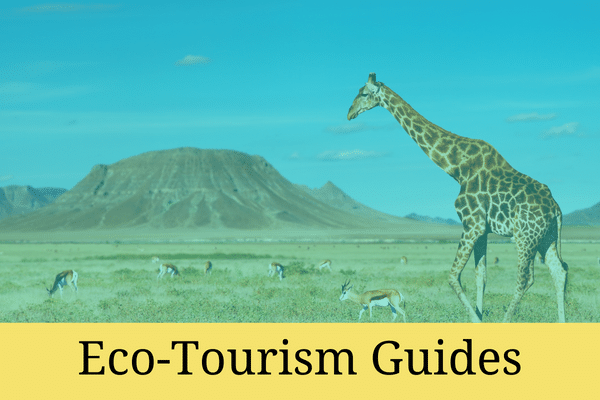 eco-tourism guides