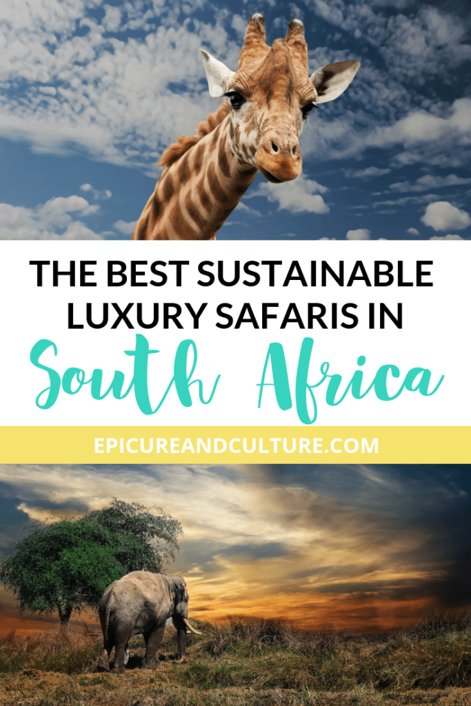 The Best Sustainable Luxury Safaris in South Africa