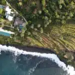 vegan resorts in Bali