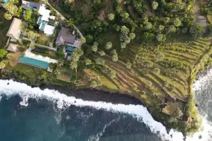 vegan resorts in Bali